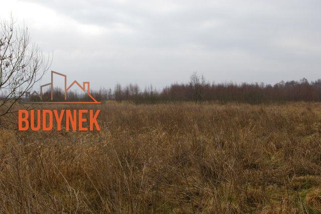 Działka rolna - Darłowo  (13)