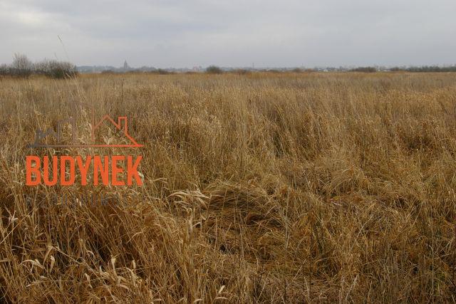 Działka rolna - Darłowo  (14)