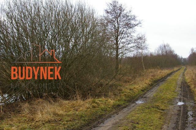 Działka rolna - Darłowo  (15)