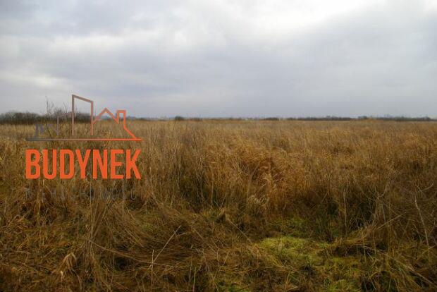 Działka rolna - Darłowo  (6)