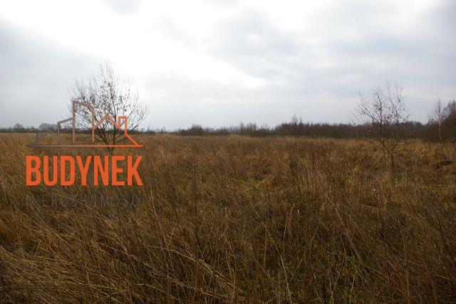 Działka rolna - Darłowo  (7)