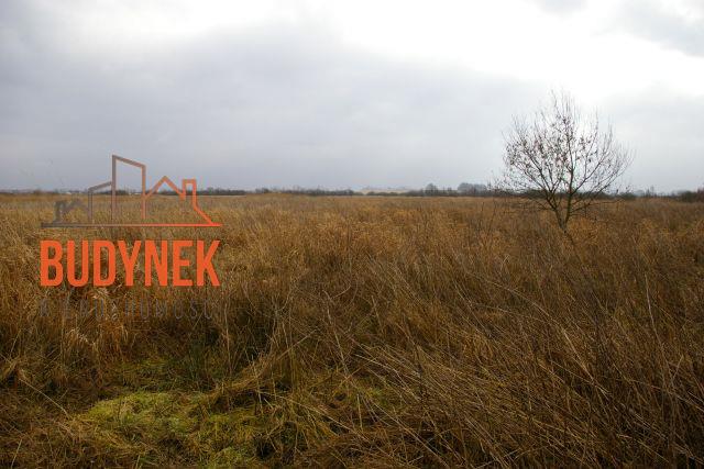 Działka rolna - Darłowo  (8)