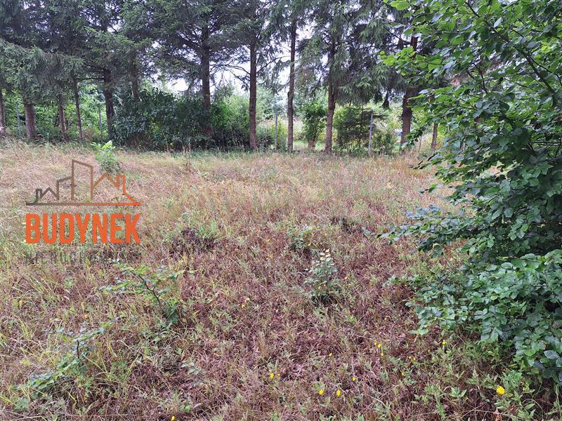 Działka budowlana - Kopnica  (6)