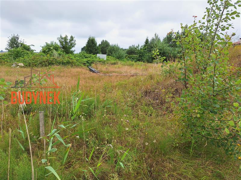 Działka budowlana - Rusko  (9)