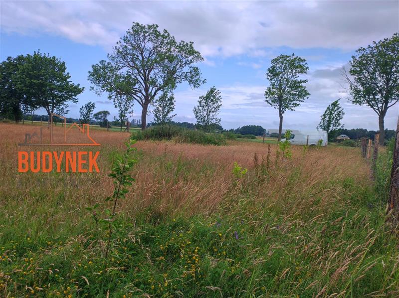 Działka budowlana - Darłowo  (11)