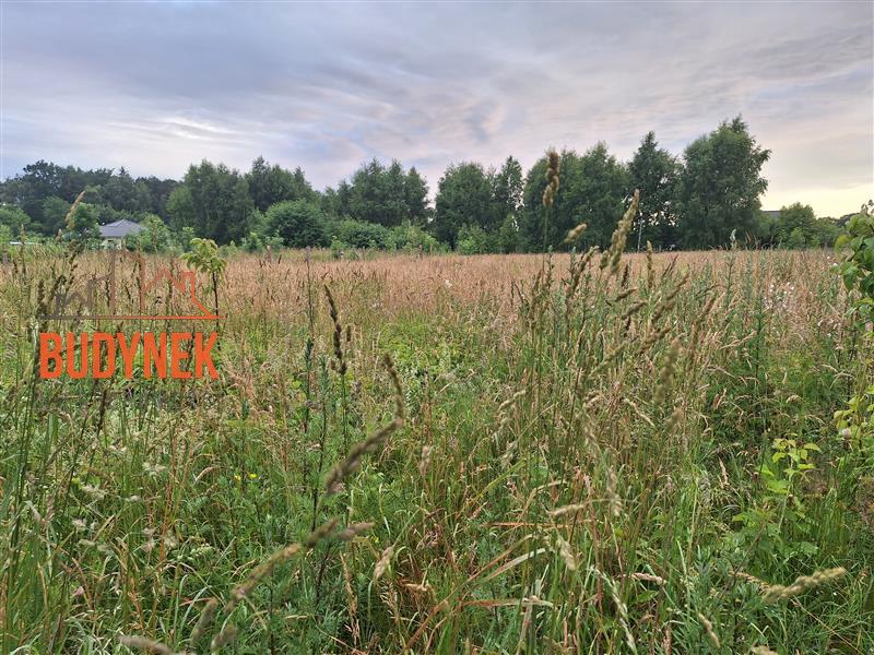 Działka budowlana - Darłowo  (4)