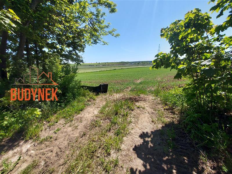 Działka rolna - Kopnica  (10)