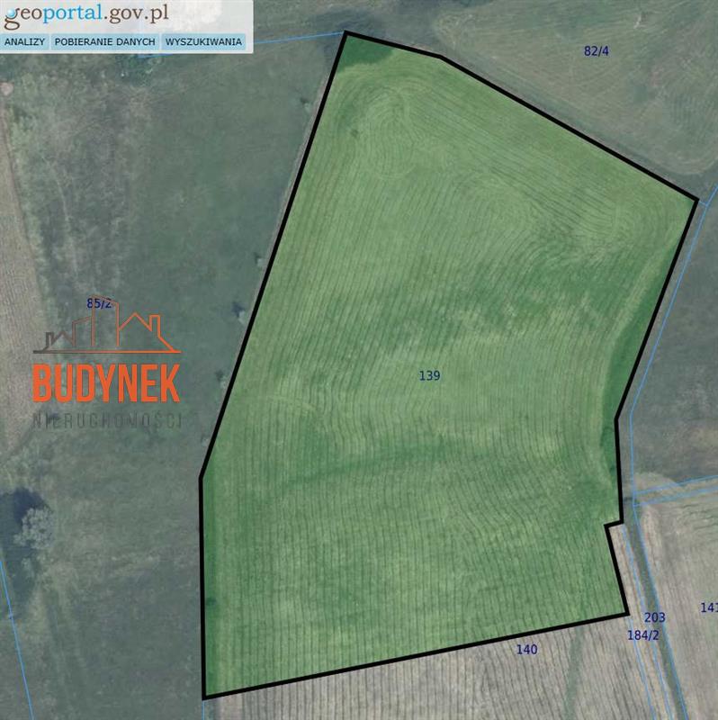 Działka rolna - Kopnica  (3)