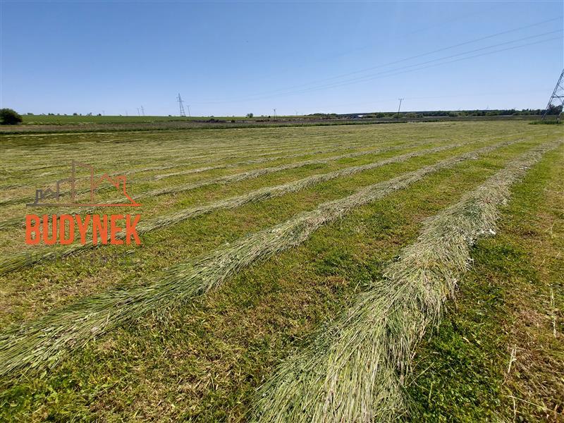 Działka rolna - Kopnica  (5)