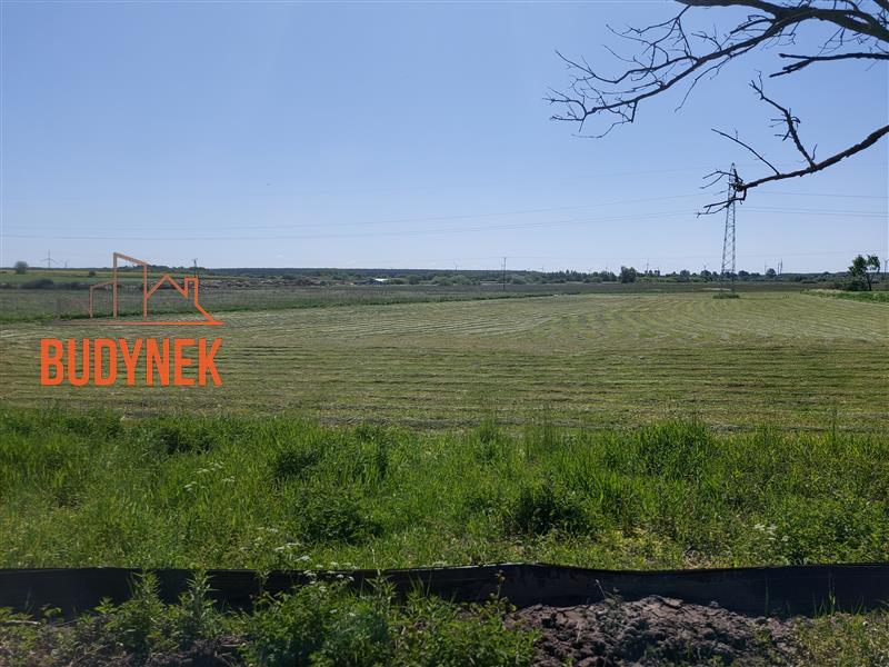 Działka rolna - Kopnica  (7)