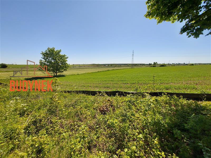 Działka rolna - Kopnica  (9)