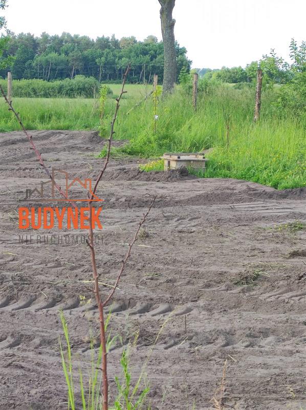 Działka budowlana - Darłowo  (12)