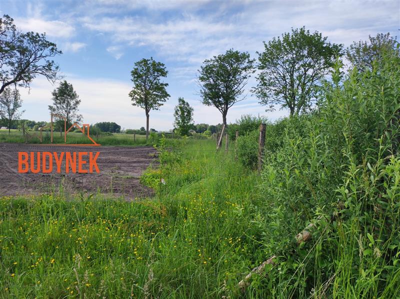 Działka budowlana - Darłowo  (6)