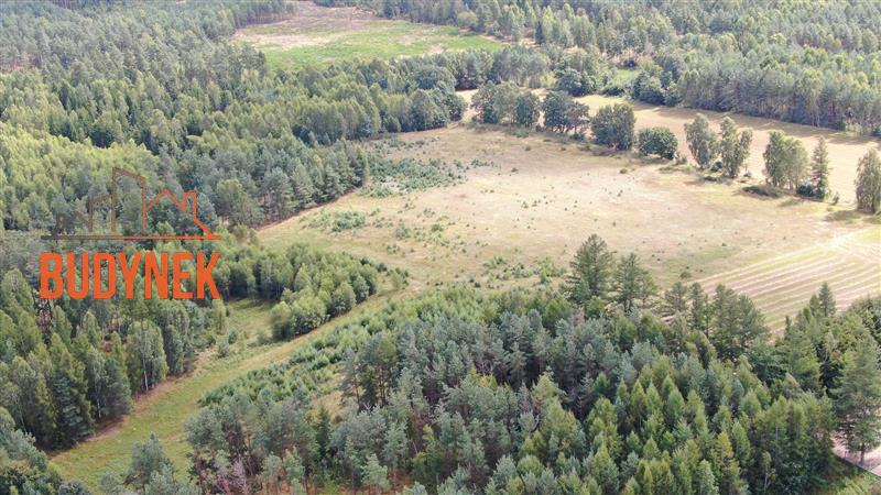 Działka siedliskowa - Parchowo  (10)