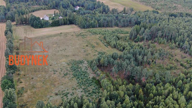 Działka siedliskowa - Parchowo  (13)