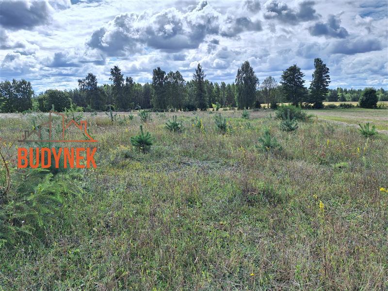 Działka siedliskowa - Parchowo  (14)