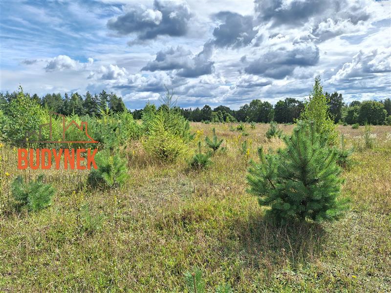 Działka siedliskowa - Parchowo  (15)