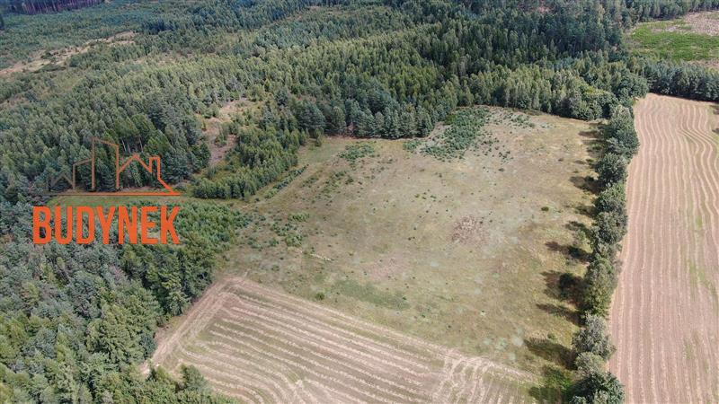 Działka siedliskowa - Parchowo  (9)