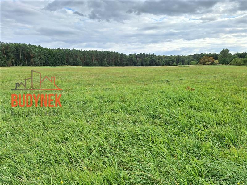 Działka przemysłowa - Lisi Ogon  (10)