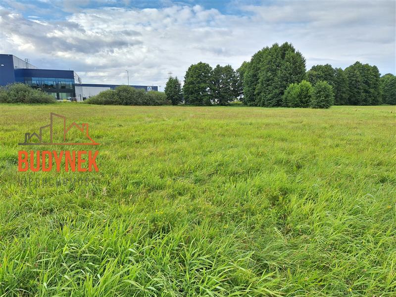 Działka przemysłowa - Lisi Ogon  (11)