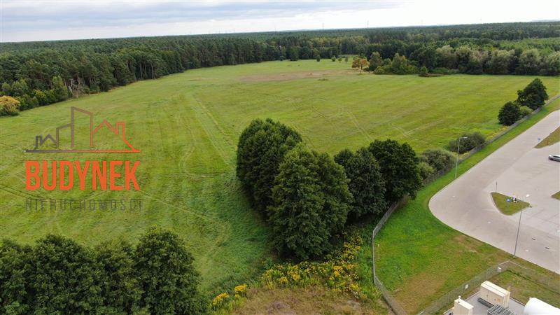 Działka przemysłowa - Lisi Ogon  (15)