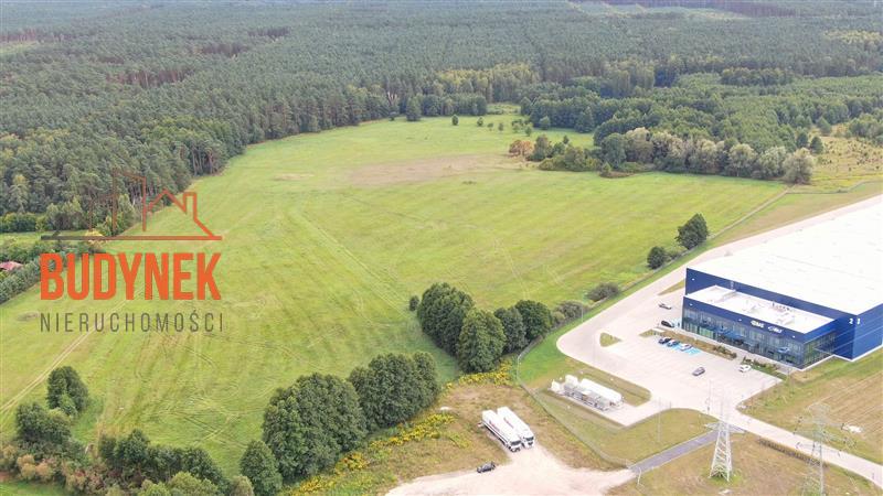 Działka przemysłowa - Lisi Ogon  (5)
