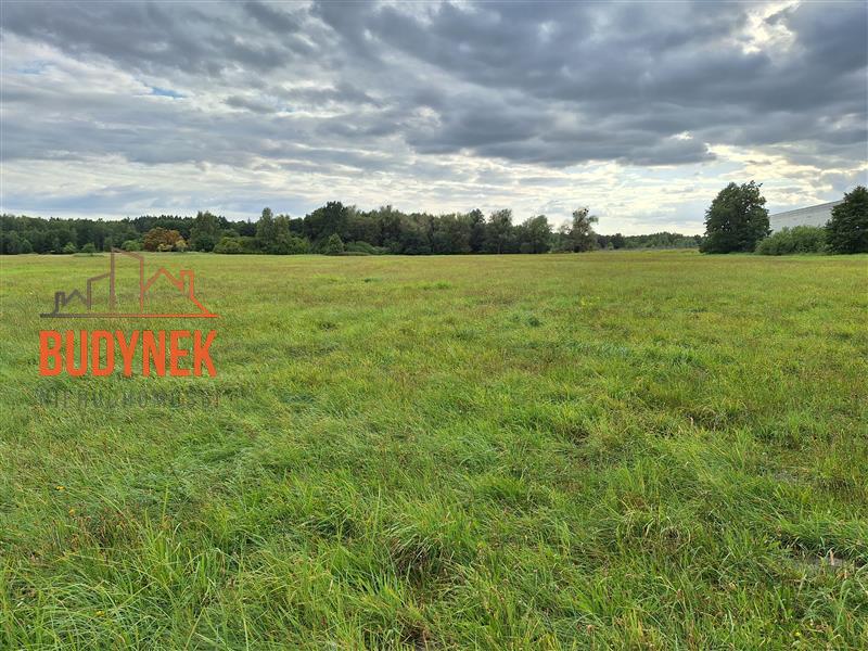 Działka przemysłowa - Lisi Ogon  (6)