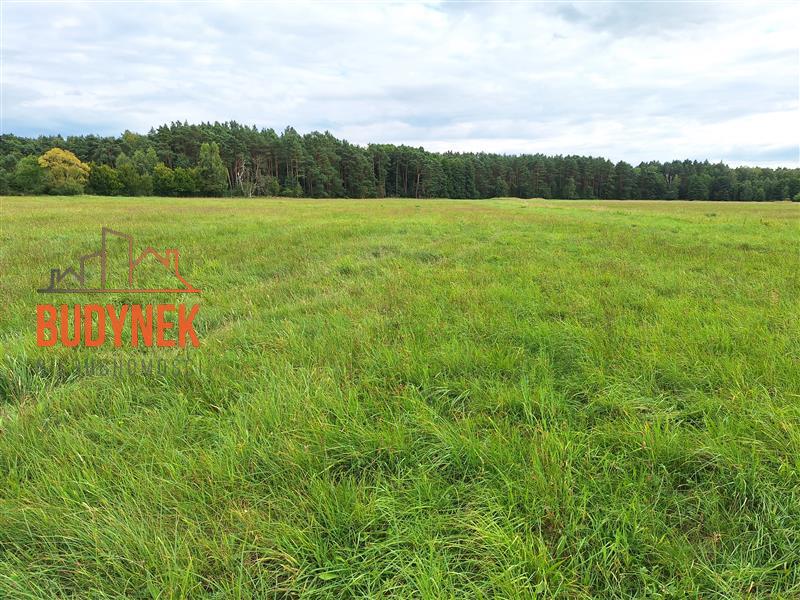 Działka przemysłowa - Lisi Ogon  (7)