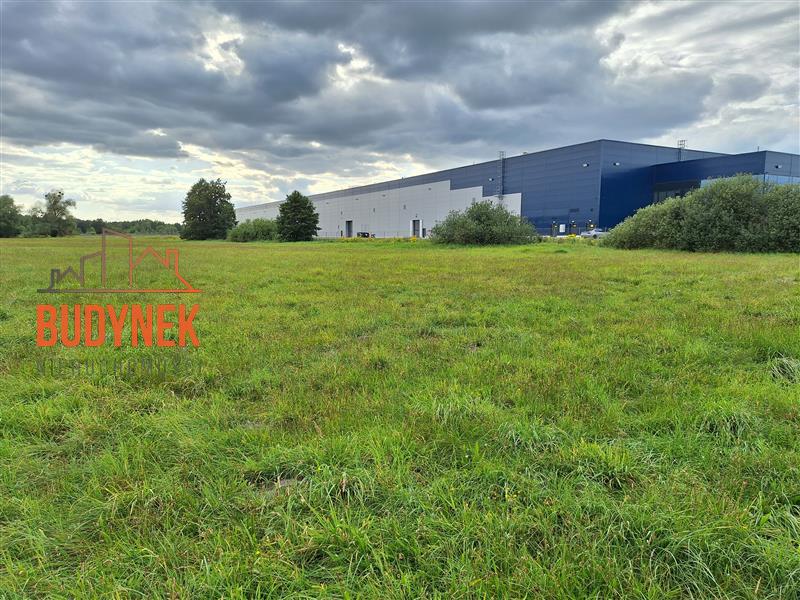 Działka przemysłowa - Lisi Ogon  (8)