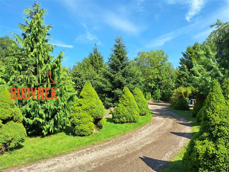 Dom - Zakrzewo  (13)