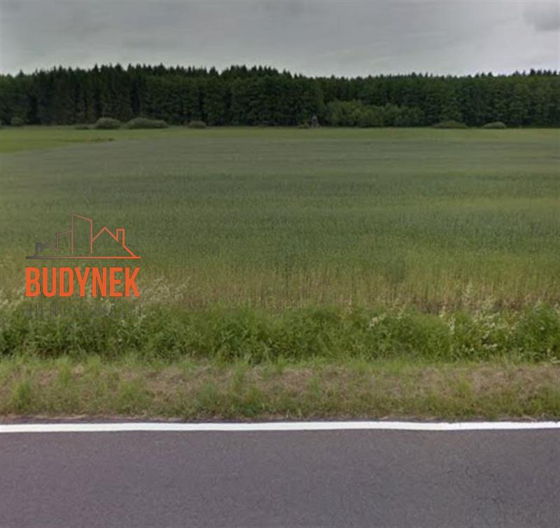 Działka rolna - Krupy  (3)