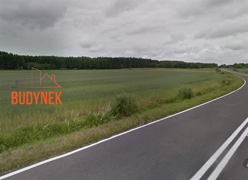 Działka rolna - Krupy  (4)