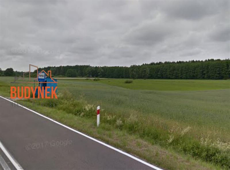 Działka rolna - Krupy  (5)