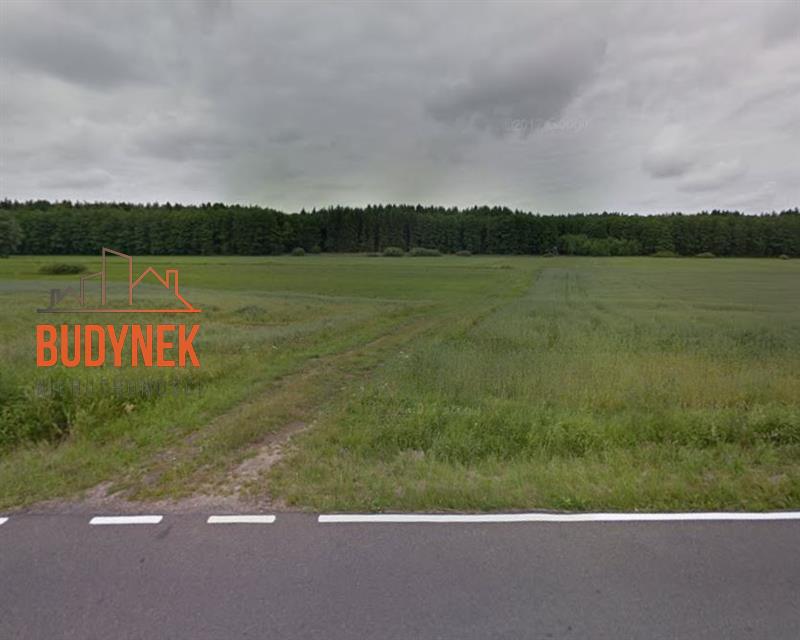 Działka rolna - Krupy  (3)