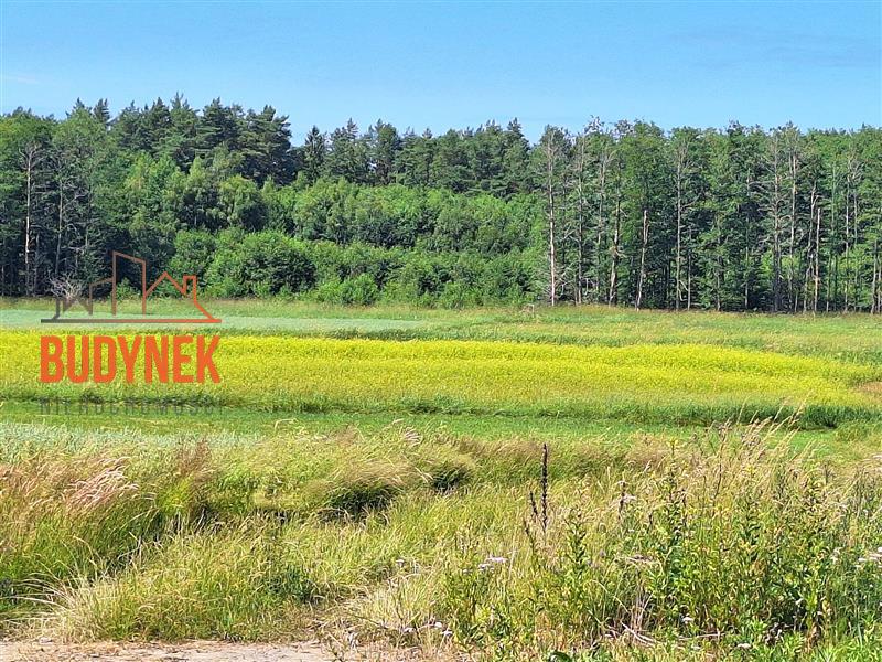 Działka rolna - Krupy  (4)