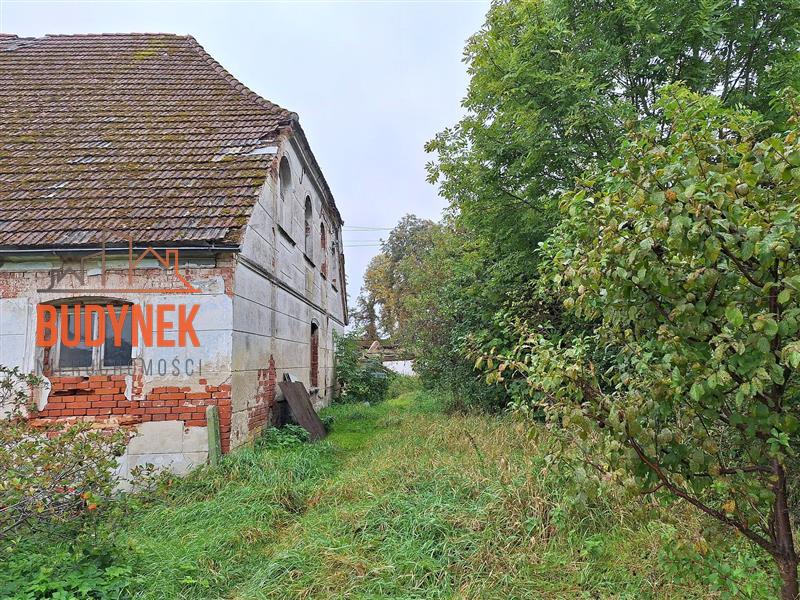 Dom wolnostojący - Kopnica  (2)