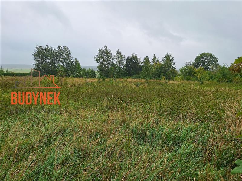 Dom wolnostojący - Kopnica  (5)