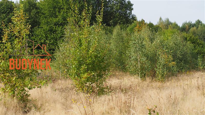 Działka rolna - Karsino  (10)