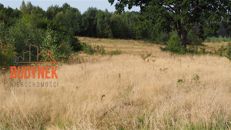 Działka rolna - Karsino  (11)