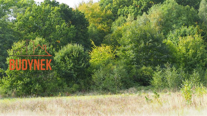 Działka rolna - Karsino  (12)