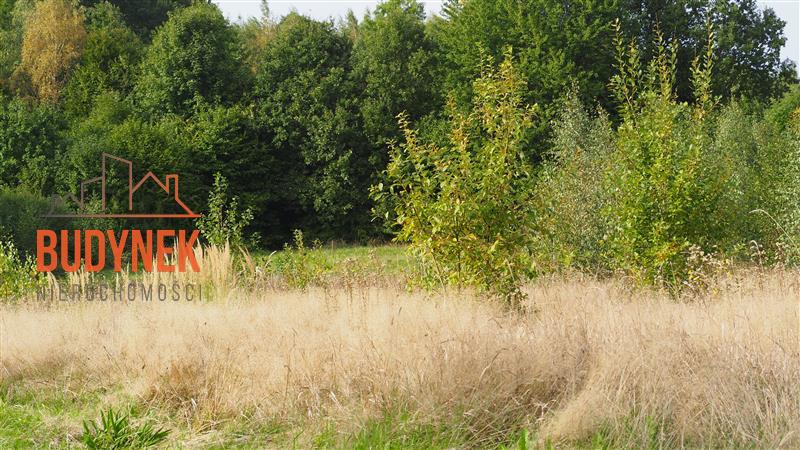 Działka rolna - Karsino  (13)