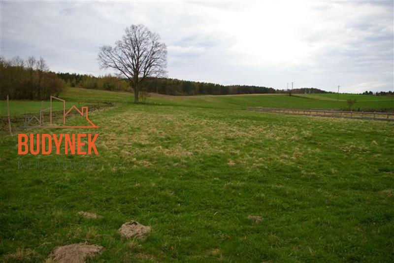 Działka rolna - Karsino  (14)