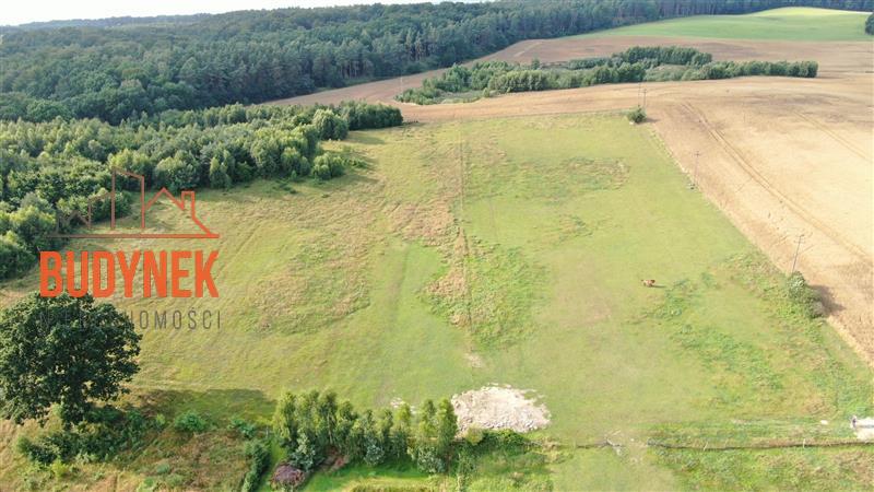 Działka rolna - Karsino  (3)