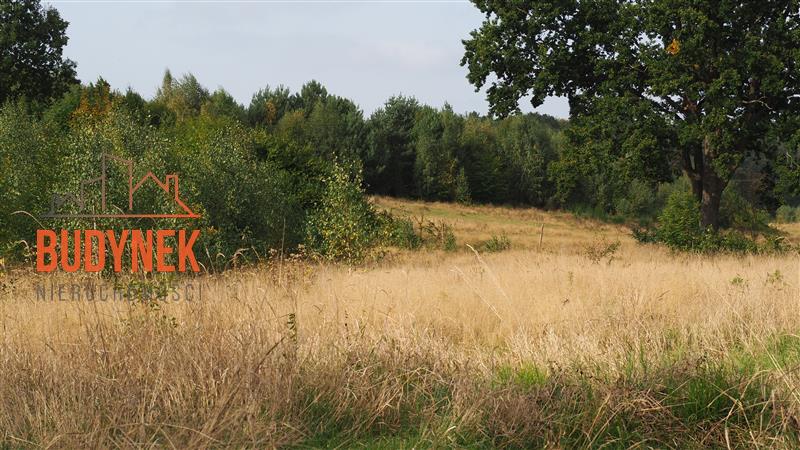 Działka rolna - Karsino  (5)