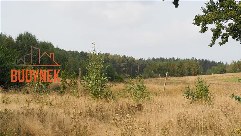 Działka rolna - Karsino  (6)