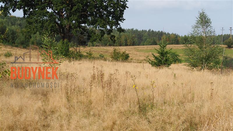 Działka rolna - Karsino  (7)