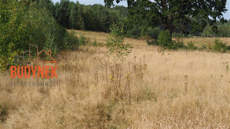 Działka rolna - Karsino  (8)