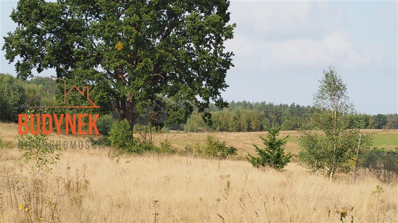 Działka rolna - Karsino  (9)