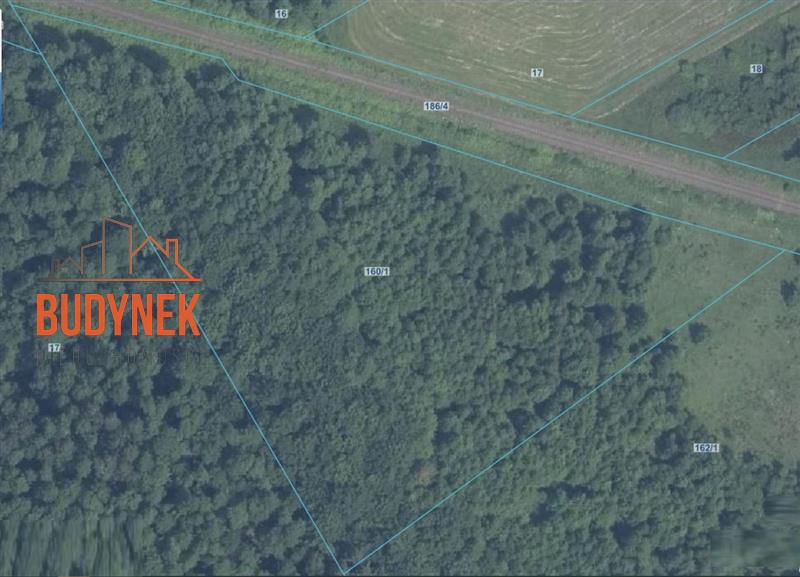 Działka rolna - Sińczyca  (1)
