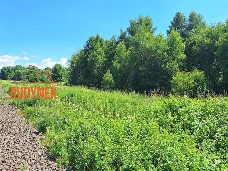 Działka rolna - Sińczyca  (6)